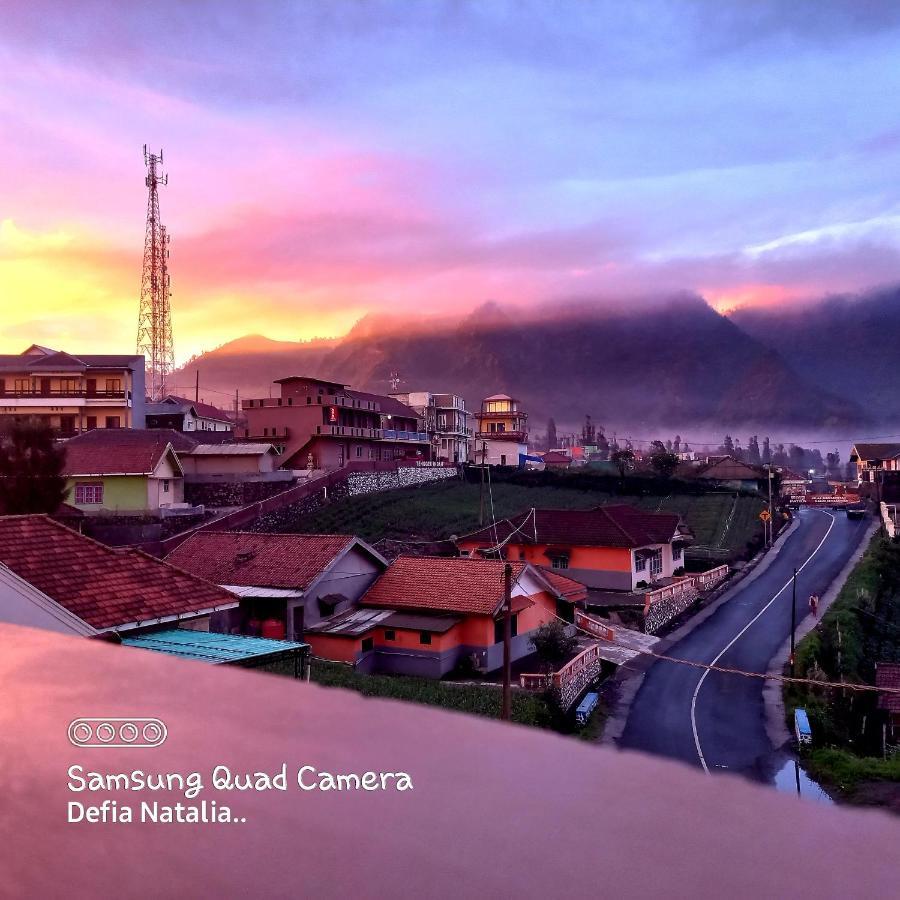 Bromo Deddy Homestay Ngoại thất bức ảnh