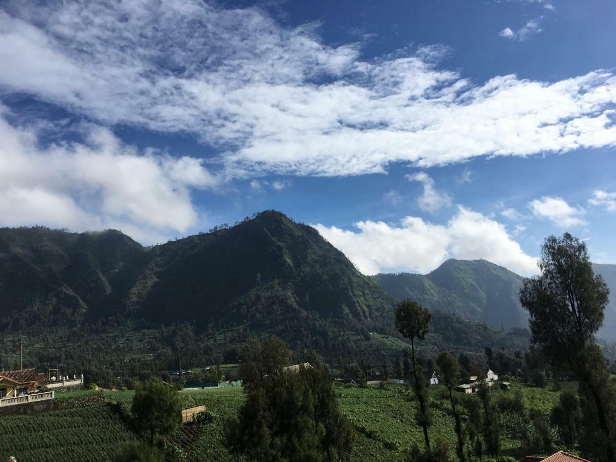 Bromo Deddy Homestay Ngoại thất bức ảnh