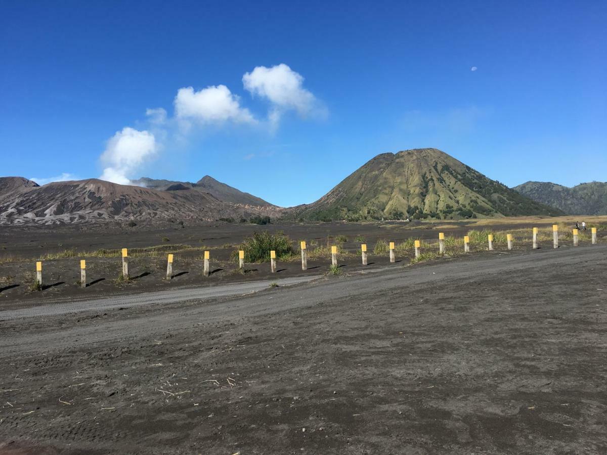 Bromo Deddy Homestay Ngoại thất bức ảnh